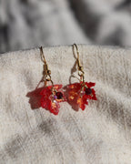 Ohrringe Maple Leaf - Rot