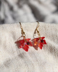 Ohrringe Maple Leaf - Rot