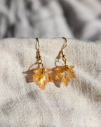 Ohrringe Maple Leaf - Orange