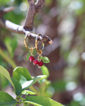 Kreolen Cherry Red