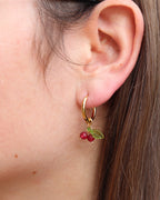 Kreolen Cherry Red